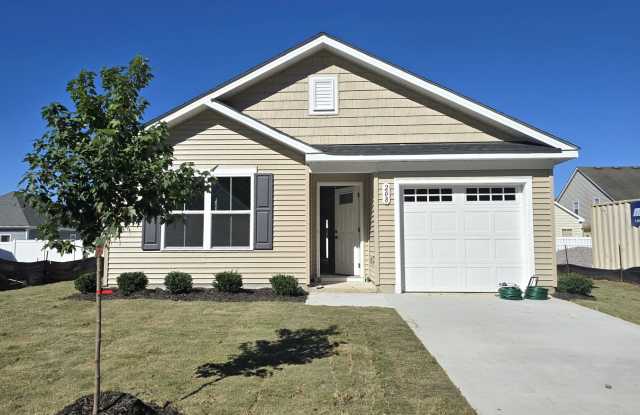 Available Soon! New Construction, 3 Bed, 2 Bath in Charming Town of Edenton Gallery 1