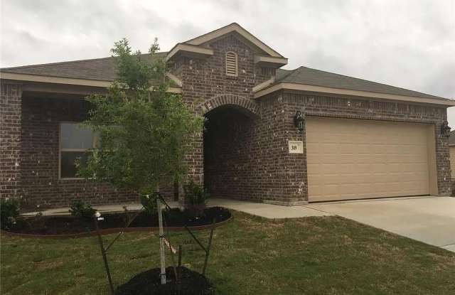 309 Lead Creek Drive - 309 Lead Creek Drive, Fort Worth, TX 76131