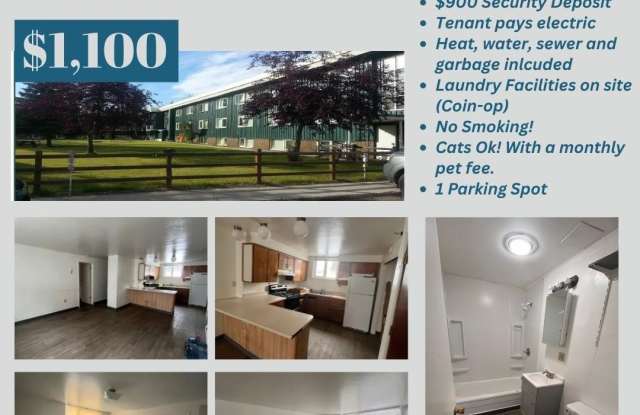 1902 MARY ANN STREET photos photos