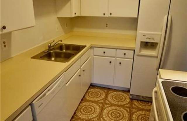 507 Lake Havasu Drive Gallery 4