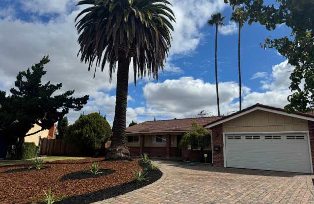 Wonderful 4 bedroom, single level home in Walnut Creek-move in ready! photos photos