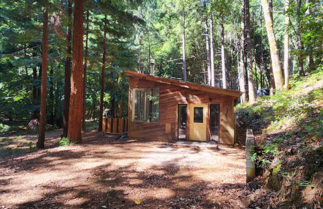 Cabin In the Wood! Gallery 3