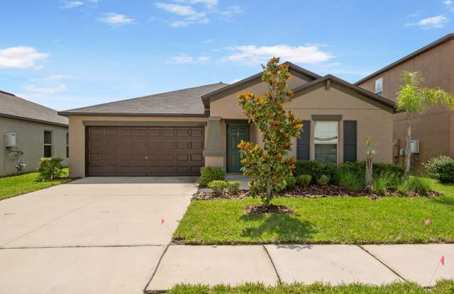 Enjoyable, Nice Neighborhood in Riverview, FL photos photos