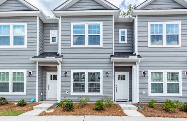 3 Bedroom, 2.5 Bathroom Townhome in Twin Rivers - Wando photos photos