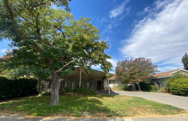 Lovely Single Story 3 Bed / 2 Bath Home with nice backyard - 933 Acacia Lane, Davis, CA 95616 Lovely Single Story 3 Bed / 2 Bath Home with nice backyard - 933 Acacia Lane, Davis, CA 95616