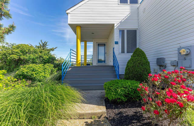 13 Delmar Dr photos photos