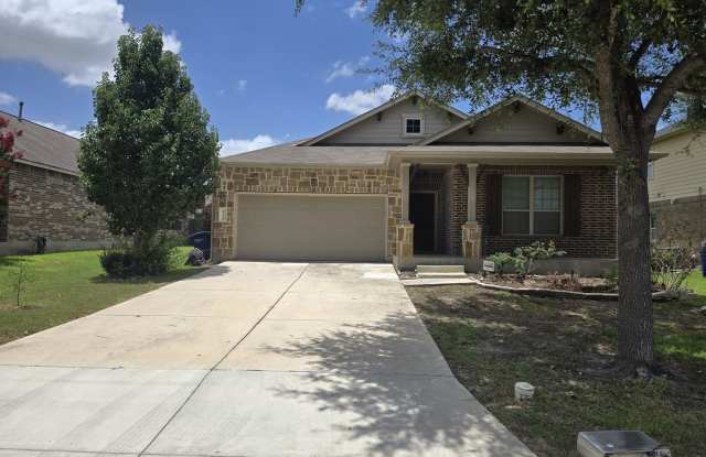 2738 Cinnamon Teal photos photos