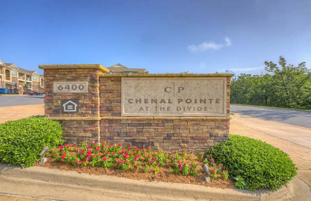 Chenal Pointe at the Divide Gallery 4