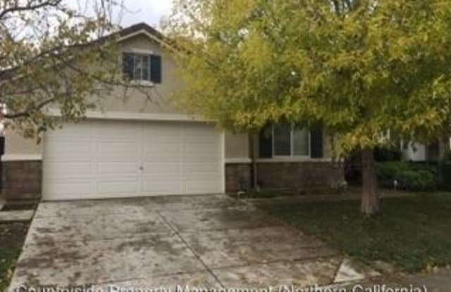463 Petunia Court - 463 Petunia Court, Merced, CA 95341