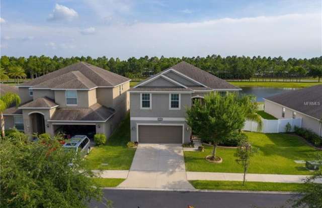 11311 Langworth Hill Lane - 11311 Langworth Hill Lane, Riverview, FL 33579
