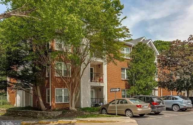 3305 WYNDHAM Circle Gallery 2