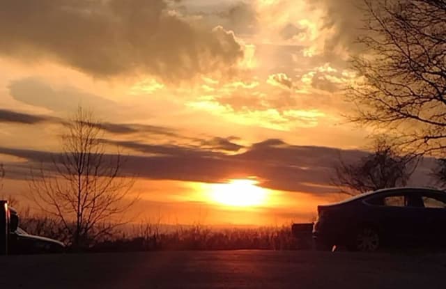 454 Golden Way photos photos