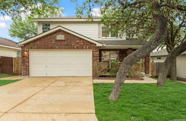 1230 LION KING photos photos