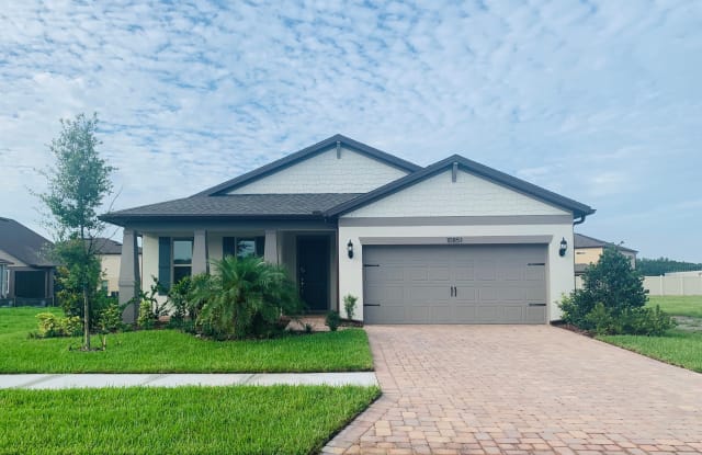 10851 Rolling Moss Rd - 10851 Rolling Moss Rd, Pebble Creek, FL 33647