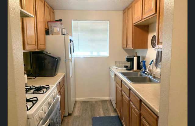 B/1B Pet Friendly Apartment South of BYU Gallery 4