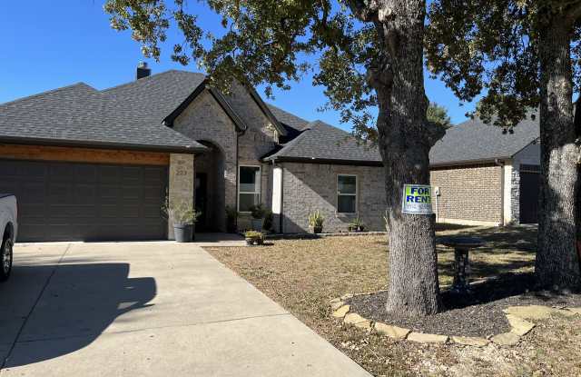 223 Port Drive - 223 Port Drive, Gun Barrel City, TX 75156