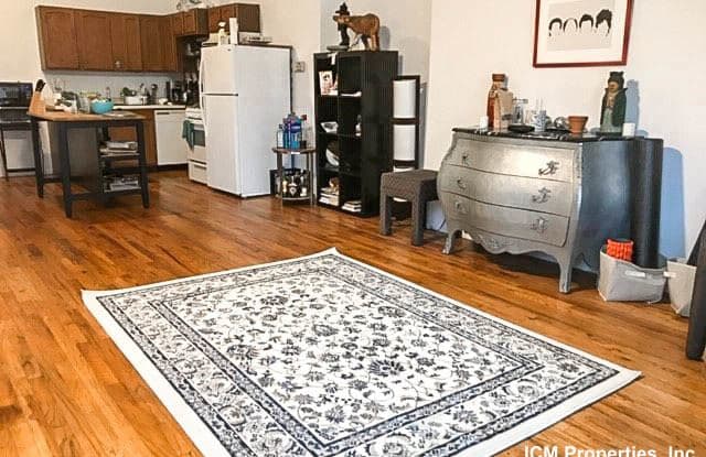 2047 North Hoyne Ave. - 2047 North Hoyne Avenue, Chicago, IL 60612