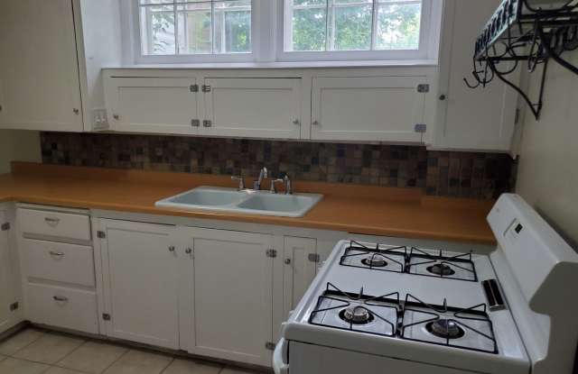 One Bedroom Apartment in the Heart of Downtown - 903 West Curtiss Street, Bozeman, MT 59715