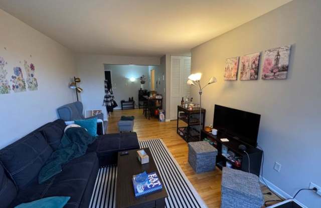 541 West Briar - 541 West Briar Place, Chicago, IL 60657