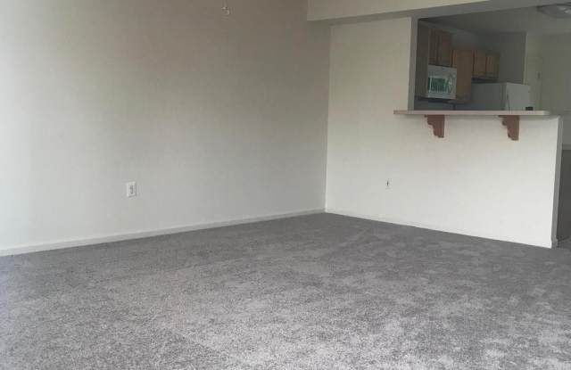 108 MERRILL COURT Gallery 2