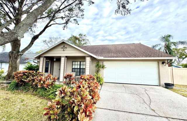 15028 REDCLIFF DRIVE - 15028 Redcliff Drive, Citrus Park, FL 33625