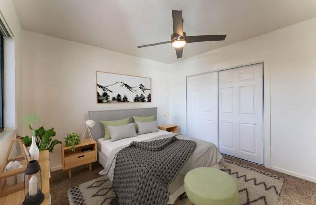 Metro Tucson Gallery 4