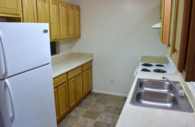 Palmetto Creek photos photos