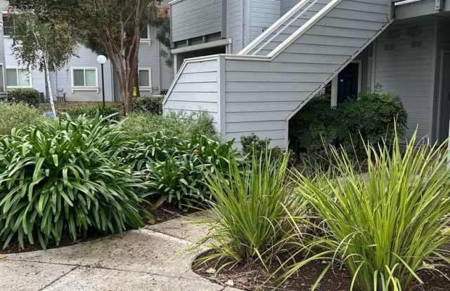 Spacious bright condo with new carpet and new paint and 2 bathrooms photos photos