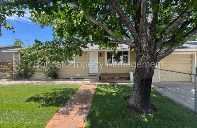 700 Cottonwood Dr - 700 Cottonwood Drive, Carson City, NV 89701