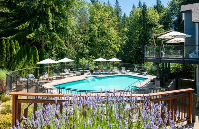 Lakemont Orchard Gallery 2