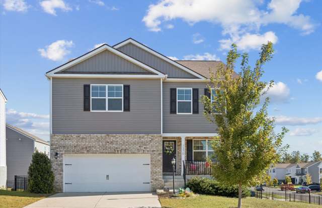 Wow‑Factor Move‑In Ready Rental with Finished Walkout Basement  Modern Upgrades photos photos