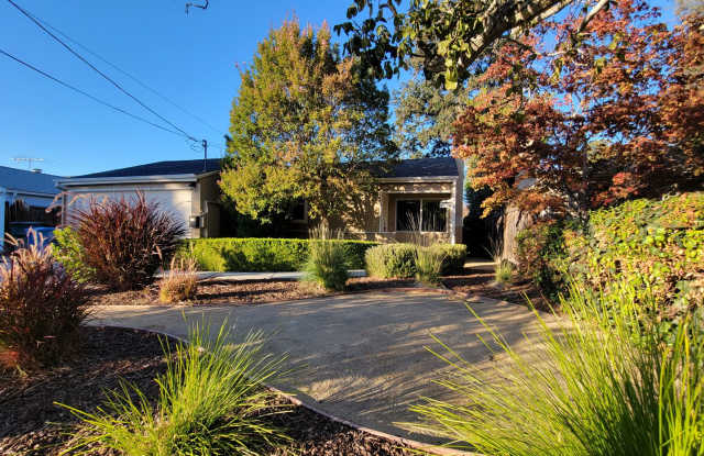 Updated Home in Palo Alto Available with Air Conditioning photos photos