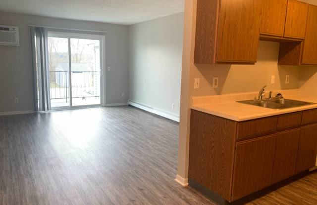 Large One Bedroom Apartment with Laundry in Unit! Gallery 2