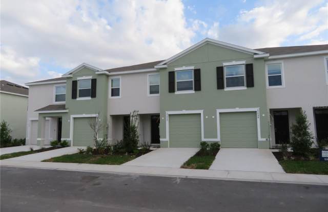 17212 BIGLEAF MAHOGANY LANE photos photos