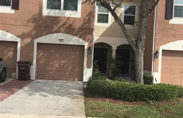 26611 CHIMNEY SPIRE LANE - 26611 Chimney Spire Lane, Wesley Chapel, FL 33544