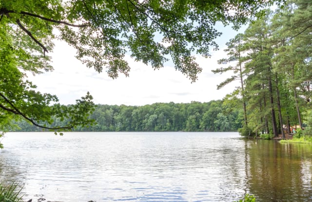 Lake Johnson Mews Gallery 2
