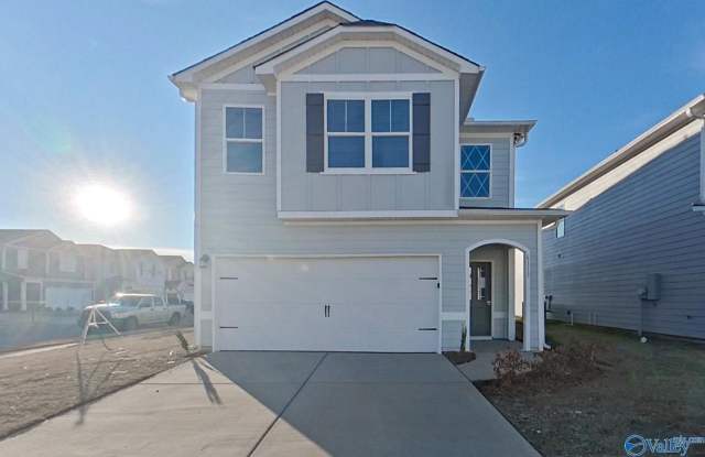 6113 Taramore Lane NW - 6113 Taramore Lane Northwest, Huntsville, AL 35806