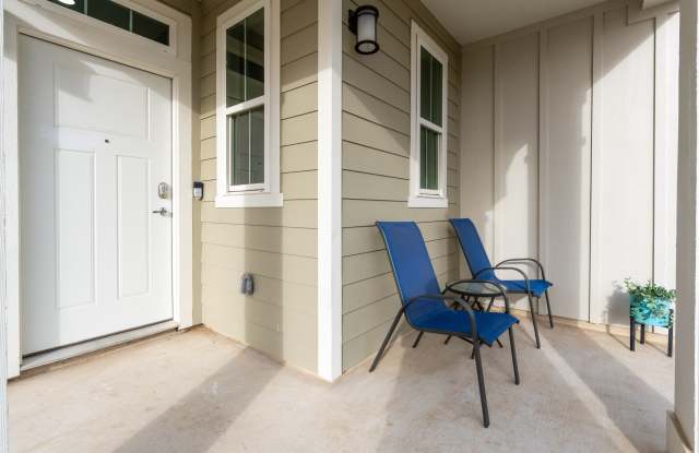 Mihir Taylor Gallery 4