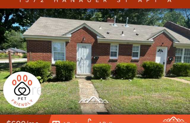 1572 Hanauer St photos photos