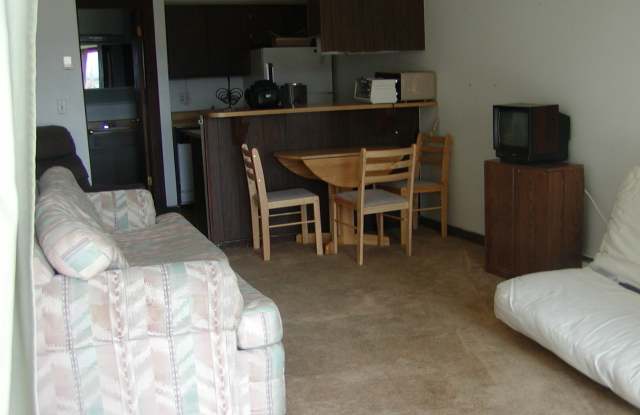 Silver Queen West Condo - Studio/1 Bath Unit on Ground Floor with Views - 7305 Ryan Gulch Road, Summit County, CO 80498