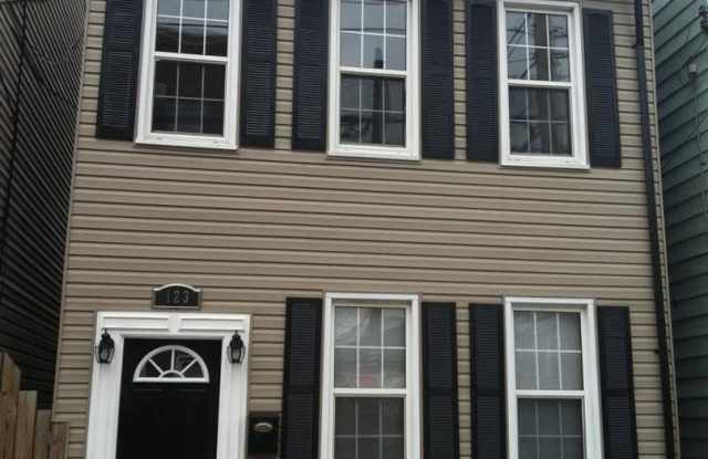 South Side Modern Renovation -- Open Layout, Large Bedrooms, Stainless.A/C.Laundry - 123 South 17th Street, Pittsburgh, PA 15203