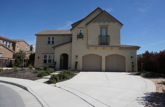 Beautiful Luxury Home, A/C, Great Schools, Wood Floors Throughout, Community Park/Trails photos photos