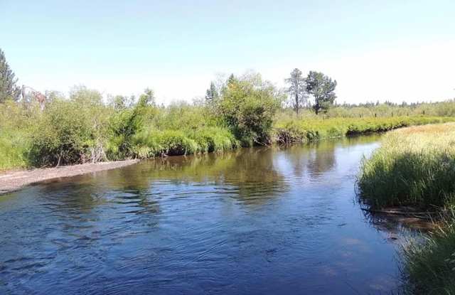 Adorable Cabin on the River photos photos