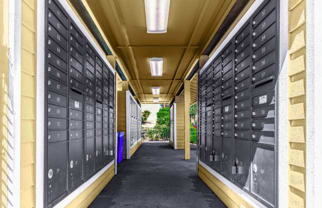 Tamaron Ranch photos photos