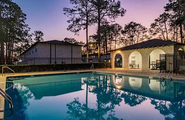 Camelia photos photos