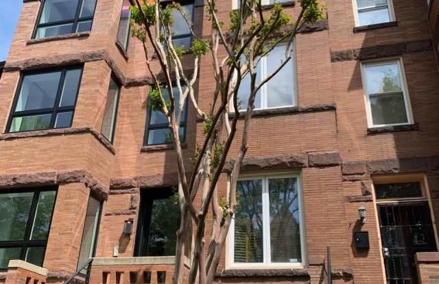 1459 CHAPIN Street NW unit: Basement Unit photos photos