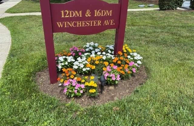 12 Winchester Avenue photos photos