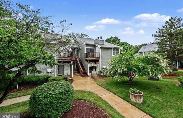 8619 BEEKMAN Place Gallery 4
