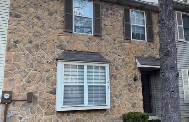 313 FOUNTAIN HALL COURT - 313 Fountain Hall Court, Mt Laurel Township, NJ 08054