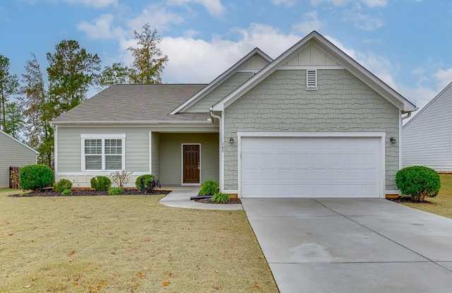 145 Alexander Lane - 145 Alexander Lane, Barrow County, GA 30620